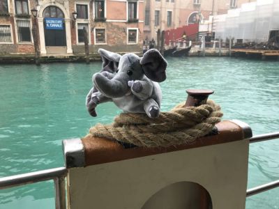 1 umut in venedig 400